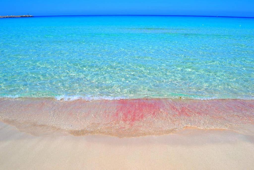 Casa Vacanza Terra Mare กัสเตลลัมมาเร เดล โกลโฟ ภายนอก รูปภาพ